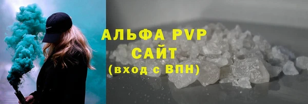 гидра Абаза