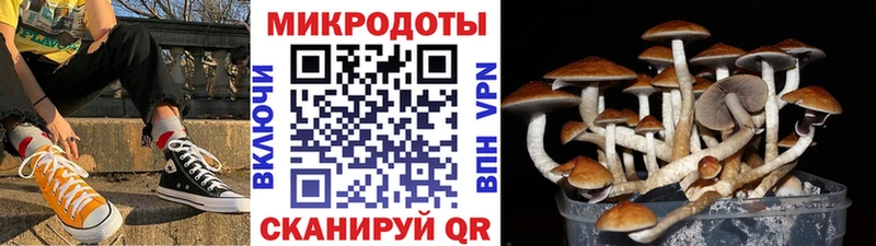 Псилоцибиновые грибы Psilocybine cubensis  это формула  Владивосток 